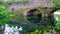 Medieval stone bridge in eden colourful garden vibrant with roses and river