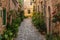 medieval street in Valdemossa, Spain