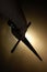 Medieval sword silhouette at backlighting