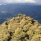 Medieval Tower in the Montseny Massif, Catalonial