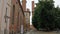 Medieval towers behind the University and some trees in Pavia, PV, Italy