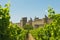 Medieval town of Carcassonne and vineyards