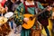 Medieval troubadour playing an antique guitar