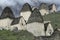 The medieval vaults complex in the village of Dargavs.