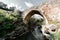 Medieval Venetian stone bridge of Akapnou over Vasilikos river. Limassol District, Cyprus