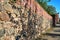 Medieval wall and towers stone and brick fortifications in the city of Prenzlau