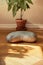 Meditation Cushion at Home with Money Tree Plant Backgrounds