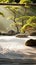 meditation rock garden zen buddhism