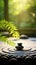 meditation rock garden zen buddhism