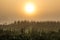 Meditation serenity on a herb field in a morning dawn