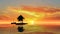 Meditation on a small island with a single tree in an ocean sunset with a boat attached
