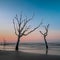 meditative seascape with dead tree and driftwood at sunrise