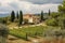 mediteranean house with vineyard, olive grove and cypress trees in the background