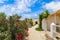 Mediterranean courtyard full of flowers