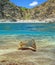 Mediterranean cove with cuttlefish underwater