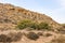 Mediterranean Desert Arid Rocky Ecology