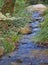 Mediterranean forest creek flowing stream