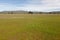 Mediterranean green meadow landscape with oak holms in Cabaneros