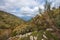 Mediterranean highland plateau vegetation