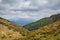 Mediterranean highland plateau vegetation