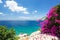 Mediterranean landscape. Blue sky and clear waters with beautiful flowers in foreground