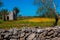 Mediterranean landscape whit olive trees, red poppies, yellow daisies and stone walls in Salento, Italy