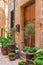 Mediterranean mansion wooden front door with elegant potted plants decoration