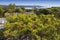 Mediterranean maquis and herbs on Kornati islands