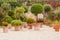 Mediterranean patio with flowerpots