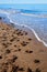 Mediterranean Posidonia beach in alicante Denia