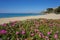 Mediterranean sandy beach with flowers Roses Spain