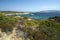 Mediterranean scrub and blue sea