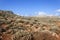 Mediterranean scrub on a mountain of Crete