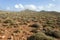 Mediterranean scrub on a mountain of Crete