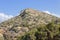 Mediterranean scrub on a mountain of Crete