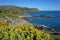 Mediterranean sea coast Pyrenees Orientales France