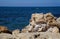 Mediterranean sea shore near Caesaria