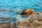 Mediterranean sea simple background scenic landscape clean nature concept photography of waterfront with picturesque stones and