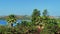 Mediterranean seaside landscape, palm trees, blue sea and mountains, summer holidays and summertime travel b-roll