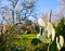 Mediterranean spring in Javea Denia with flower almonds