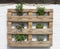 Mediterranean style wooden rack with fresh herbs on white, Netherlands