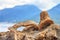 Mediterranean summer landscape - view of the fragments of ancient amphorae closeup