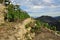 Mediterranean terraced vineyard, Liguria, Italy