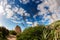 Mediterranean vegetation with a blue sky in Sella del Diavolo promontory in Cagliari.