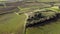 Mediterranean vineyard viewed from above, drone aerial image