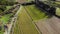 Mediterranean vineyard viewed from above, drone aerial image