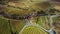 Mediterranean vineyard viewed from above, drone aerial image