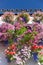 Mediterranean Wall and Window decorated Colorful Flowers , Cordoba, Spain