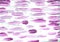 Medium lavender magenta abstract watercolor background