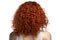 Medium Length Auburn Afro Curls , Rear View On White Background. Generative AI